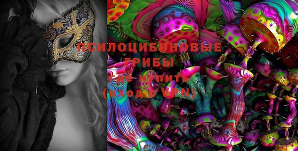 скорость Алзамай