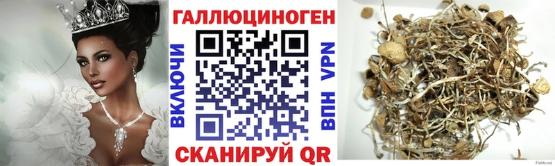 Купить закладки  Великие Луки  Псилоцибиновые грибы мицелий 